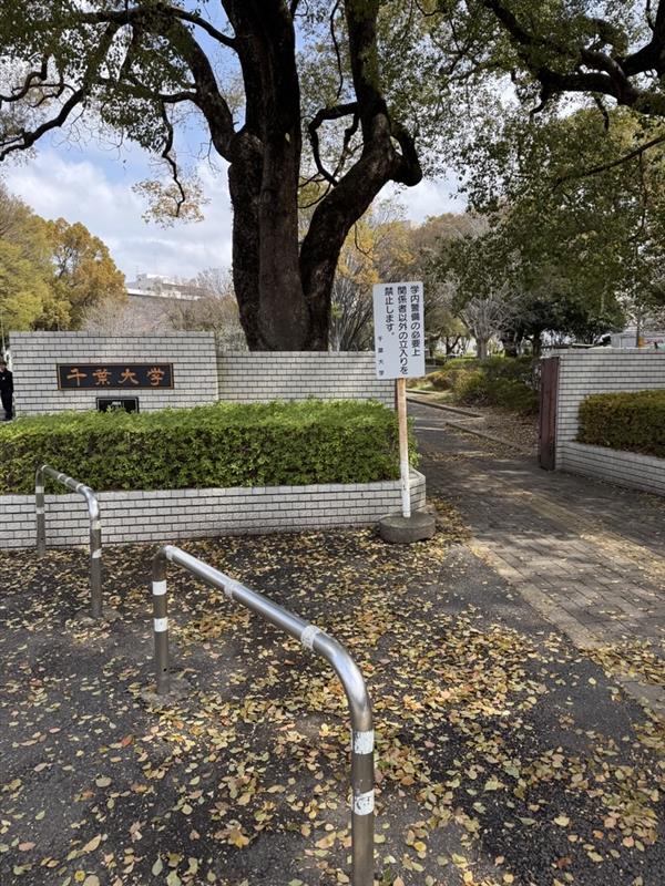 Image - 2026-03-30T112144.802